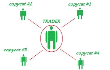 Copy Trade in Forex Trading