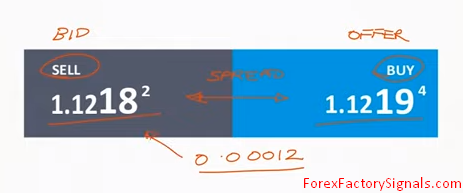 What is Pips & Spread in Forex Trading-The Anatomy of a Forex Quote