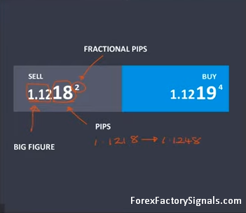 What is Pips & Spread in Forex Trading-The Anatomy of a Forex Quote