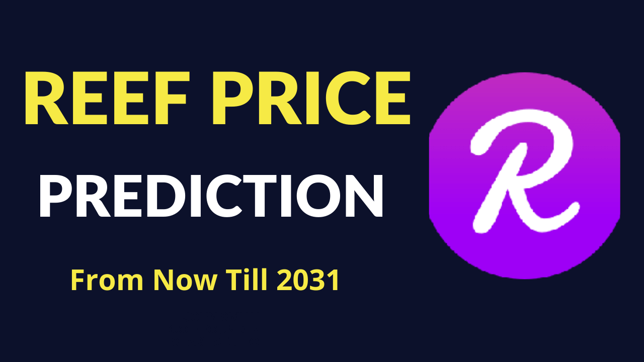 Reef Price Prediction From Now Till 2031